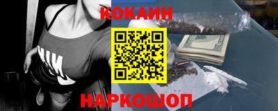 spice Новодвинск