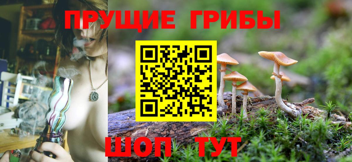Псилоцибиновые грибы прущие грибы  Галлюциногенные грибы мухоморы  Унеча  купить наркоту  Вход с VPN 