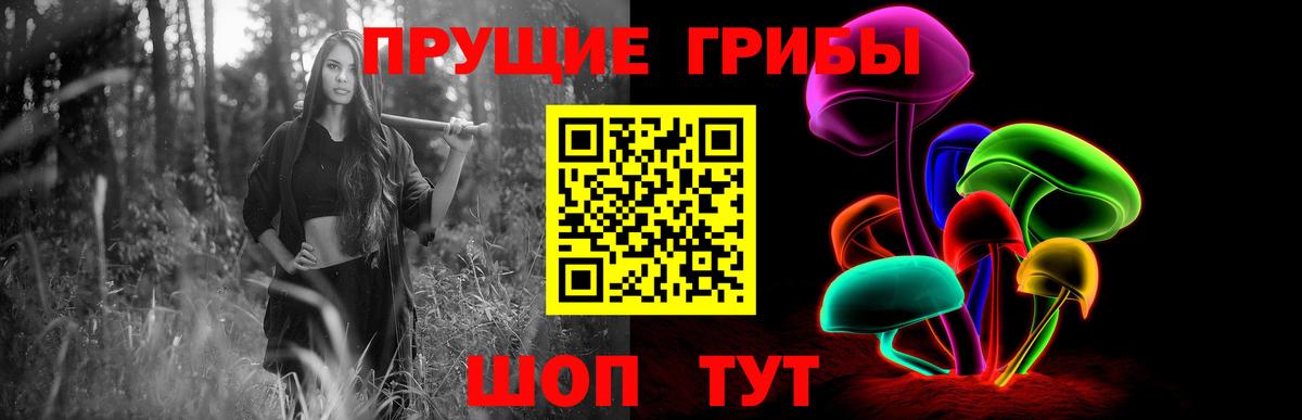 Псилоцибиновые грибы прущие грибы Унеча